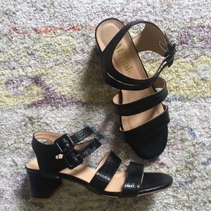 Marais USA Jardin Heel in black croc